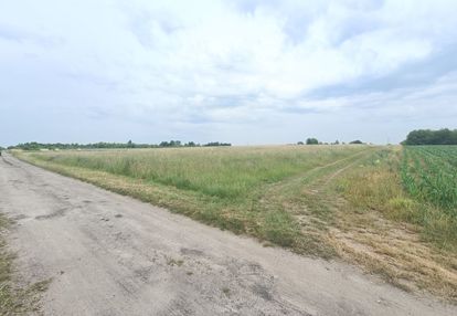 ⭐możliwość powiększenia terenu⭐regularny kształt p