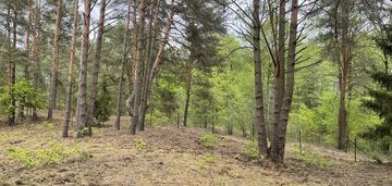 Działka w lesie 2064 m² - letniskowa i całoroczna