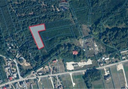 Działka budowlana 3 135 m2 zakościele nad pilicą