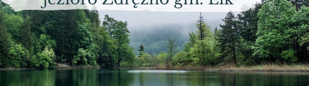 * działaka z widokiem na jezioro zdrężno i las *