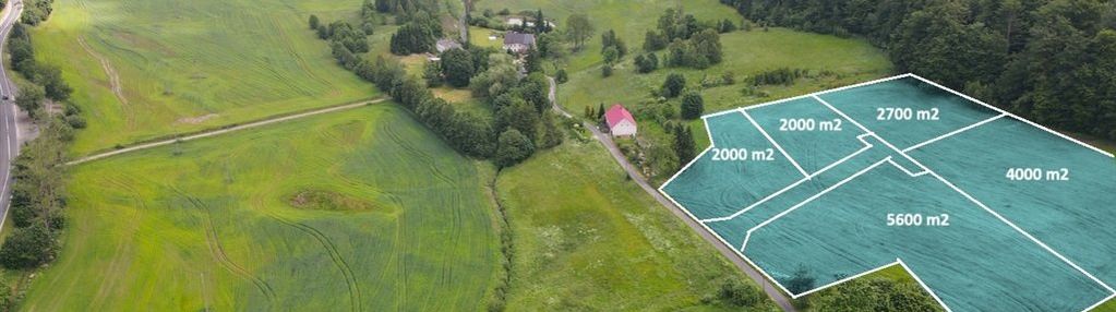 Malownicza działka pośród pól i lasu