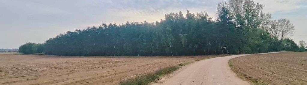 Działka 3000m2, ignacew