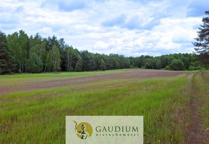 Duża działka rolna z lasem - męcikał gm. brusy