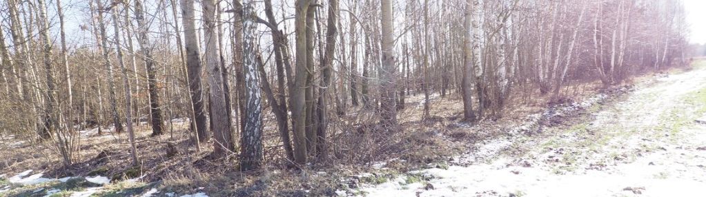 Działka rolna 70 ar 25x280 wola korybutowa druga