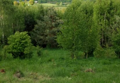 Działka 1,26 ha z wz | 2 domy | stara huta