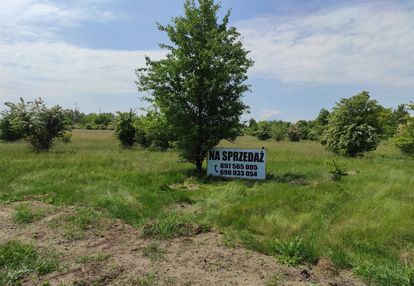 Działka nad wkrą - pomiechowo - okazja!