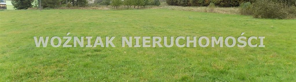 Działki w bartnicy 6000 m2