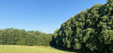 Łapino działka przy lesie nad radunią