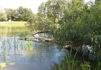 Działka przytuły - mazury