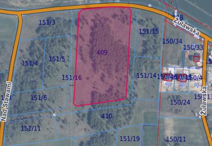Działka inwestycyjna 13 518 m² | lisewiec