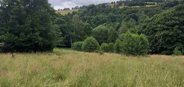 Widokowa działka otoczona lasem - brak sąsiedztwa