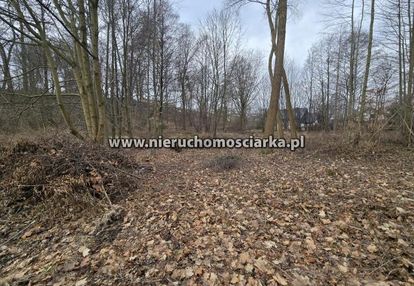Działka budowlano-zielona, las, strumyk chrobrego