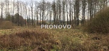 Działka nad jeziorem dominikowo