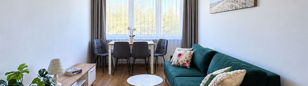 Atrakcyjne mieszkanie do wynajęcia w centrum
