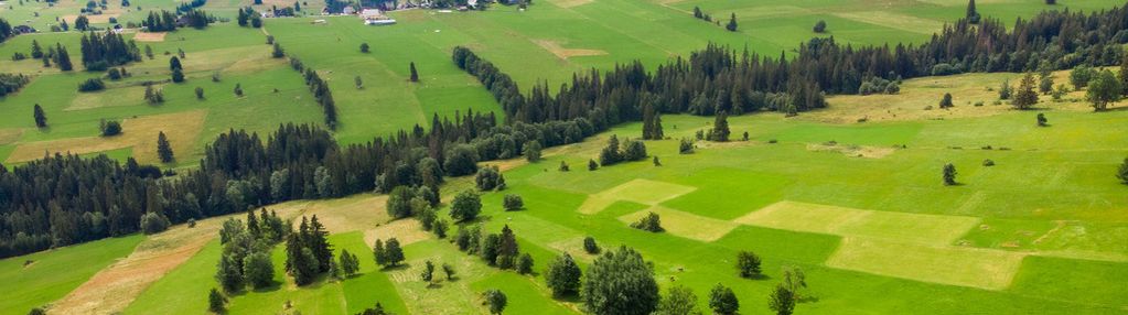 Widokowa działka na podhalu - sierockie 700m2