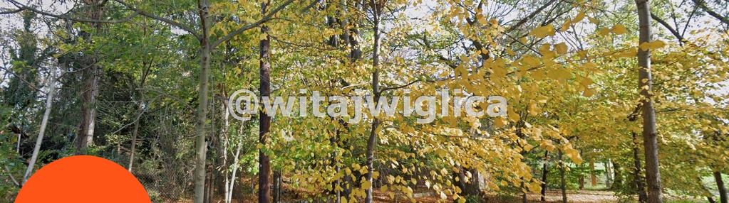 Działka rolna w pawłowicach