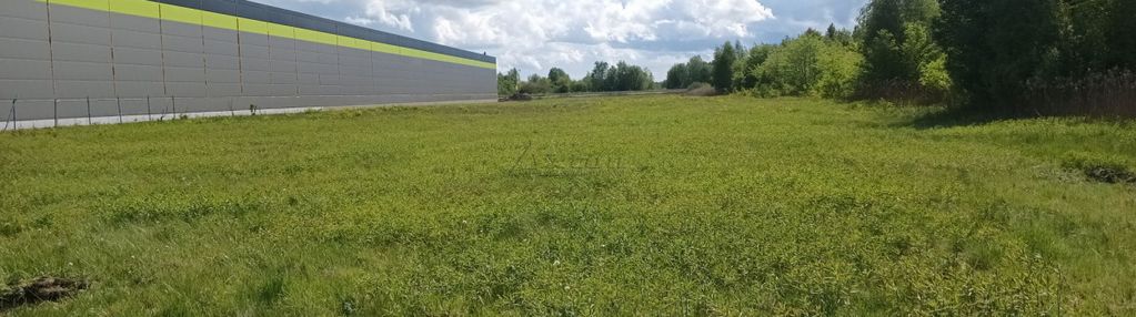 Mpzp usługi i produkcja