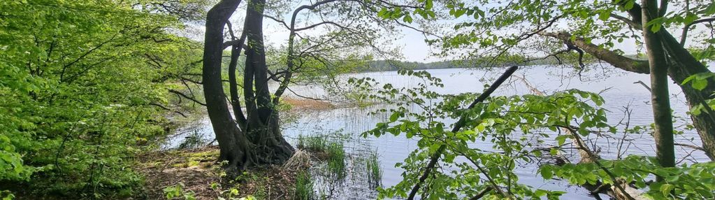 Działka z linią brzegową nad jeziora salinko
