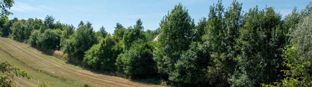 9ar zabudowa bliźniacza | prądnik biały, witkowice