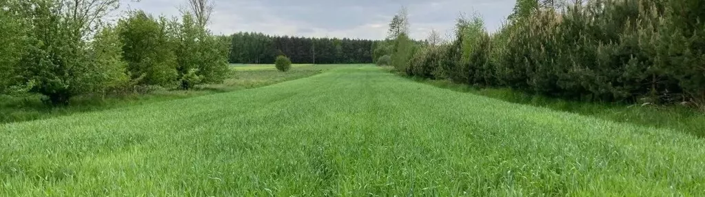 Działka na sprzedaż 3500m2