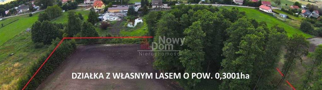 Działki kożuchy wielkie z lasem!