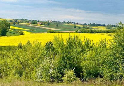 Dom marzeń o  pow 107 m2   - karwów gm. opatów