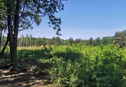 Wyjątkowa działka na sprzedaż w sieradzu, 1794m2