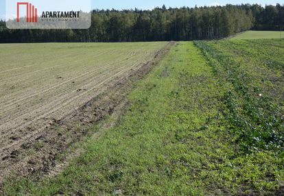 Działki z warunkami zabudowy blisko jezior i lasów