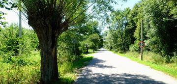 Dom tuż przy granicy kampinosu (kpn)? tak!