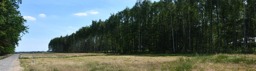 Działki 10a pod zabudowę pod lasem- widełka