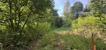 Duża działka z lasem , ponad 1,80 ha