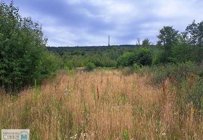 Dzialka - tylko 30min szlakiem na święty krzyż!