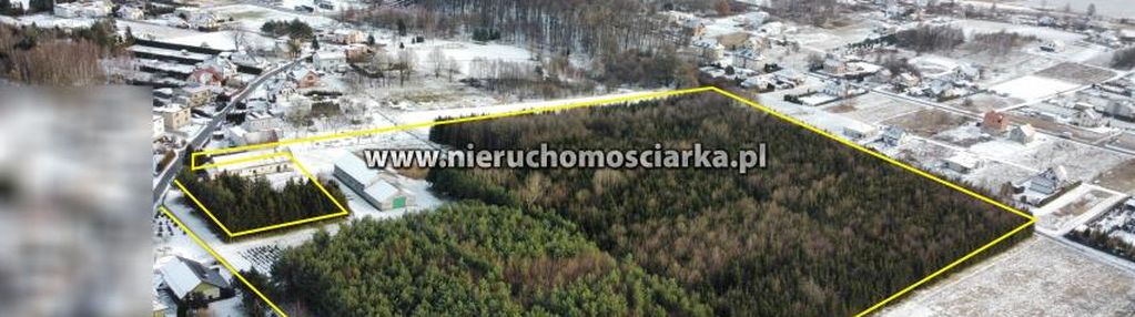 Gospodarstwo z własnym lasem/siedlisko - gorzyce
