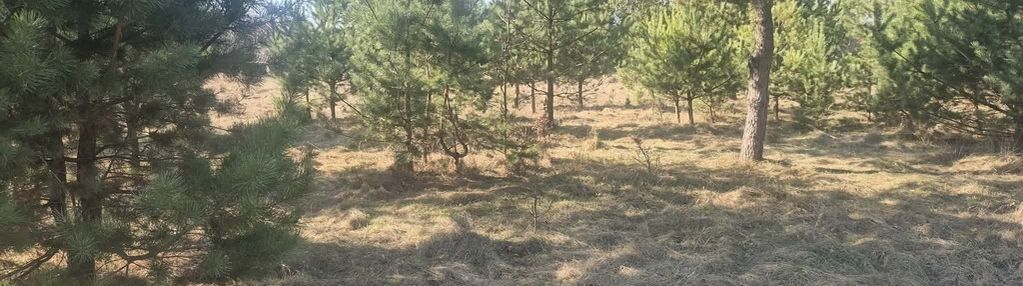 Działka rolno-leśna  – idealna pod dom letniskowy