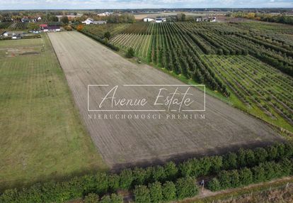 Malownicza okolica / działka 7 363 m2 / żyła wodna