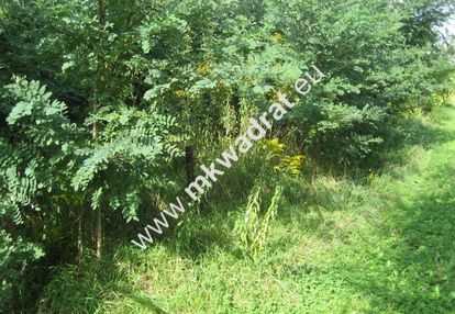 Działka budowlano-usługowa żółwin