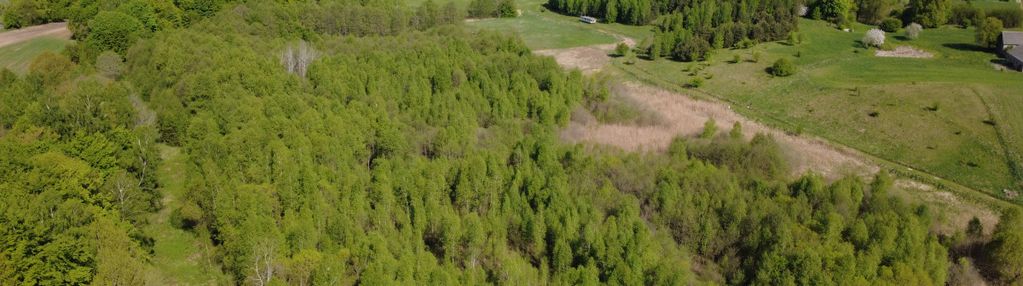 Działka 8000 m² na kaszubach - niedamowo