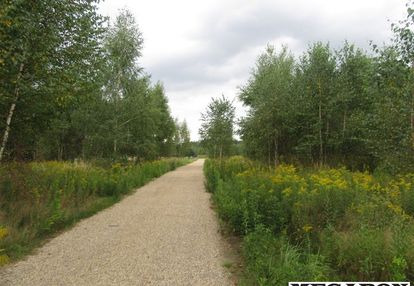 3381 m² pod dom lub inwestycję /park krajobrazowy