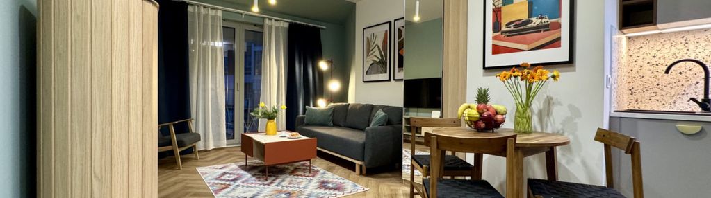 Apartament typu studio w śródmieściu