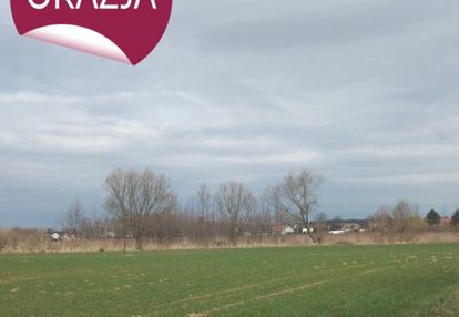 Działka przy lesie obrowo