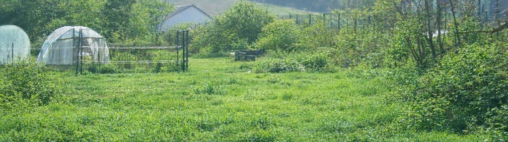 Działka budowlana 10 ar w bodzanowie