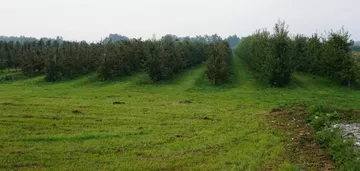 Działka na sprzedaż 152m2