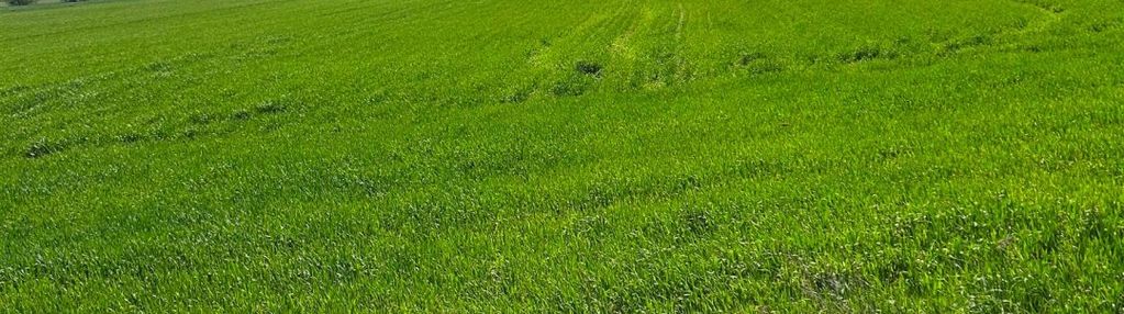 Działka inwestycyjna - morze i jezioro w pobliżu !
