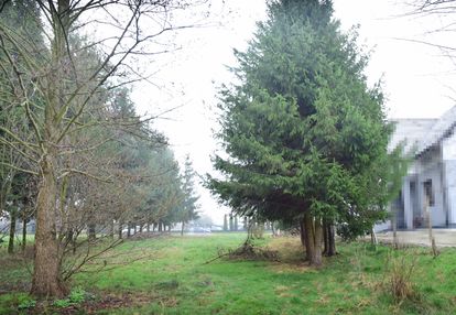 Działka budowlana 23a w bratkowicach