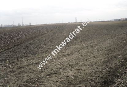 Atrakcyjna działka w płochocinie.
