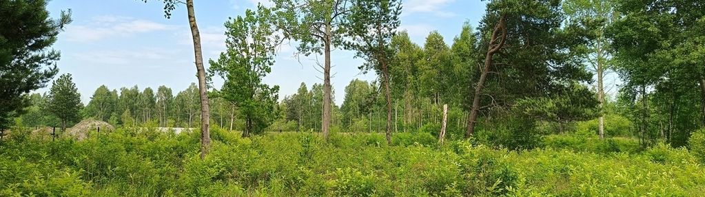 Działka budowlana w zielonej okolicy