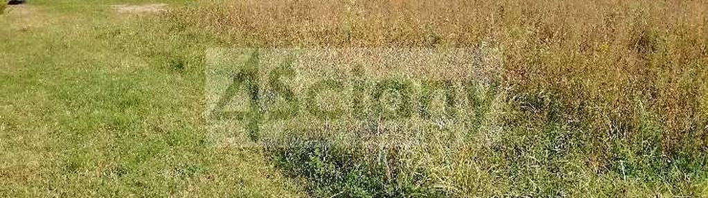 Cicha ładna działka na obrzezach buchnikowego lasu