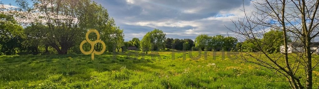 Sosnowiec / śrem - duża działka - mpzp !!