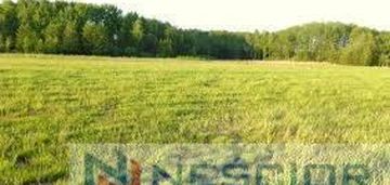 Działki budowlane gręzów