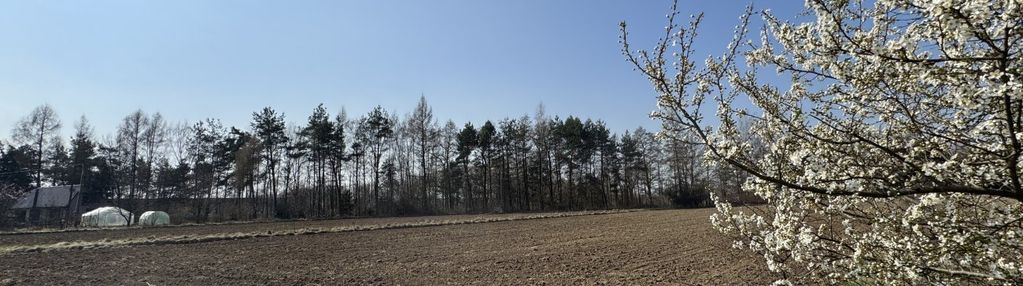 Działki z wz bobrowniki wielkie k/tarnowa
